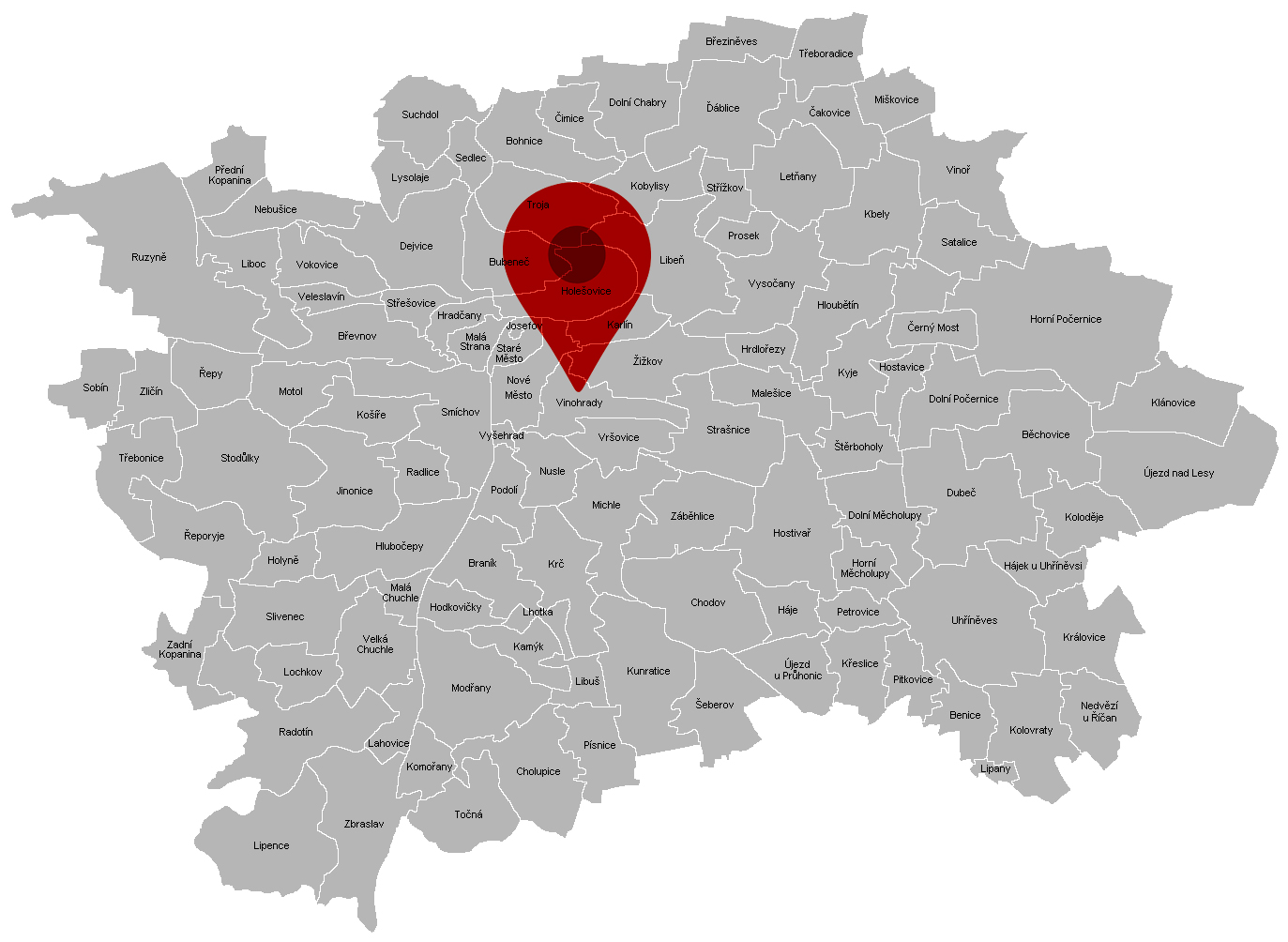 Piny - Praha, Vinohrady JPG